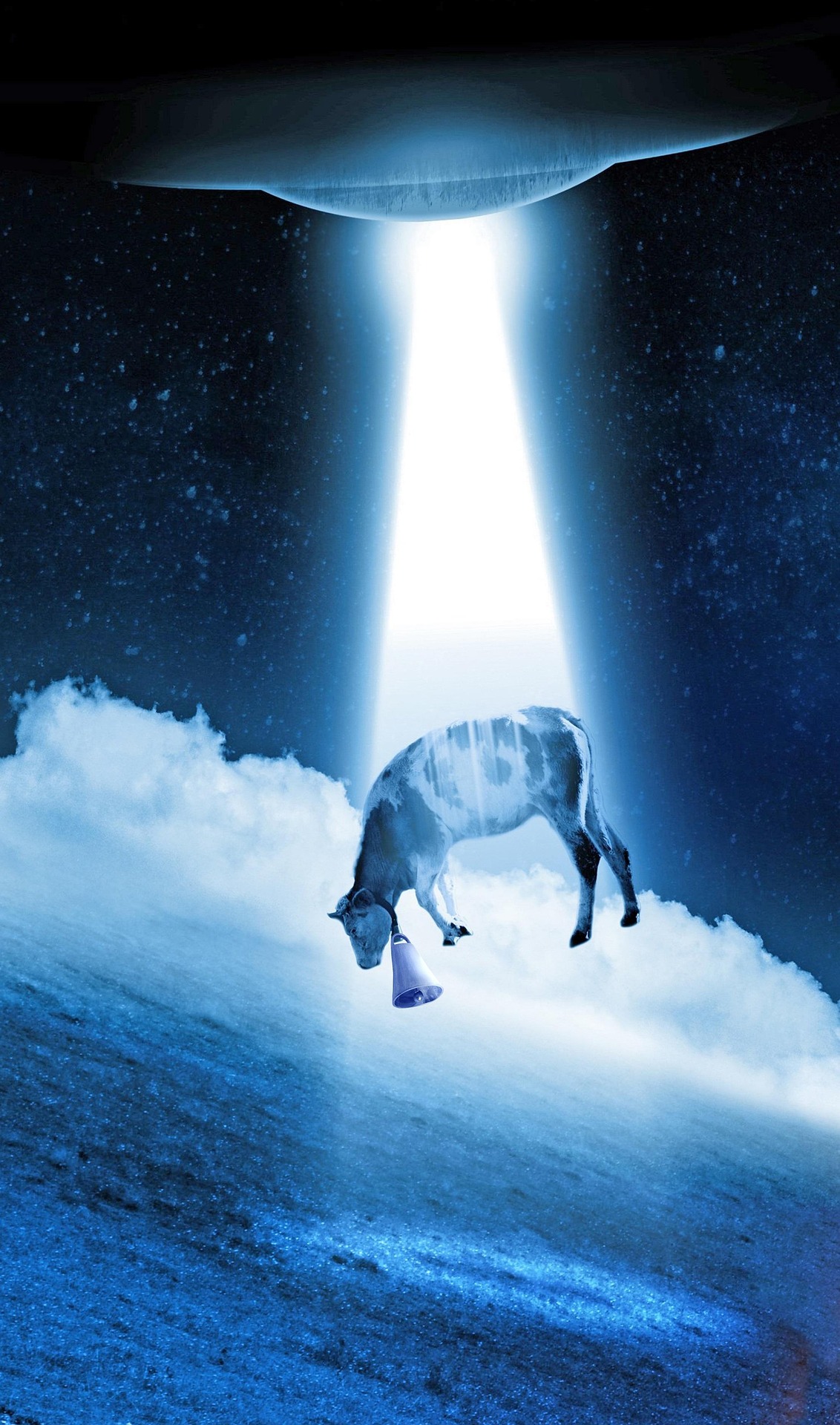 Ghosts and Cryptids and UFOs, Oh My!